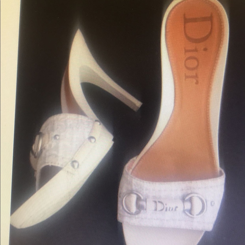 Dior Slide Heels